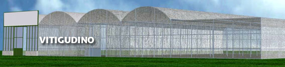 Planta de produccion de Vitigudino