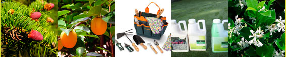 Productos