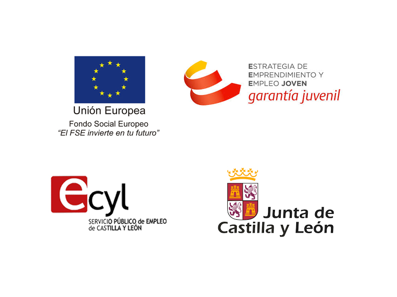 Contratación temporal de jóvenes incluidos en el Sistema Nacional de Garantía Juvenil, por entidades sin ánimo de lucro. 2016-2017